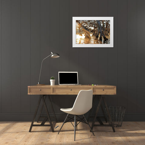 Cypress Creek II White Modern Wood Framed Art Print by Nawrocke, Bruce