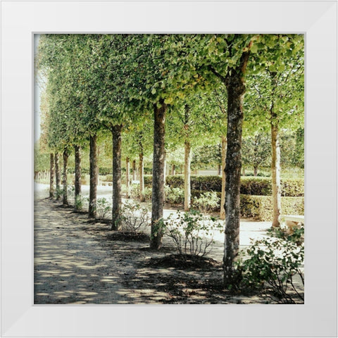 Parisian Stroll I White Modern Wood Framed Art Print by Navas, Emily