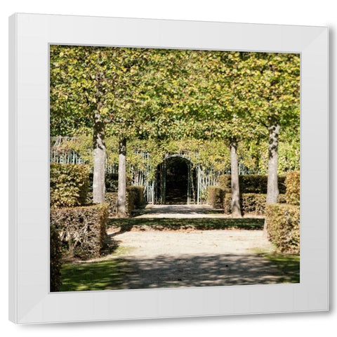 Parisian Stroll II White Modern Wood Framed Art Print by Navas, Emily