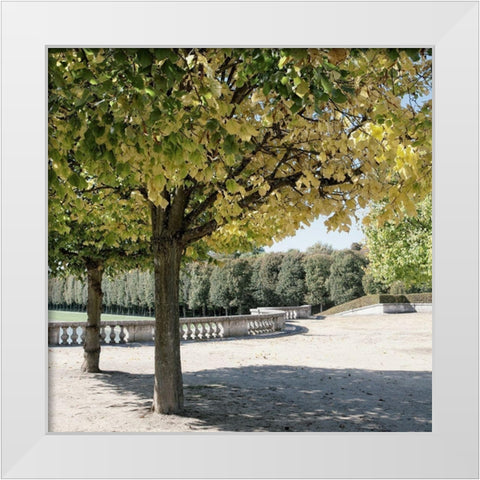 Parisian Stroll III White Modern Wood Framed Art Print by Navas, Emily