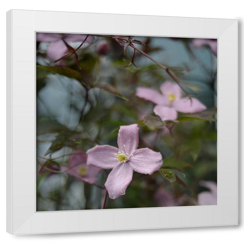 Springtime I White Modern Wood Framed Art Print by Gardner, Sarah