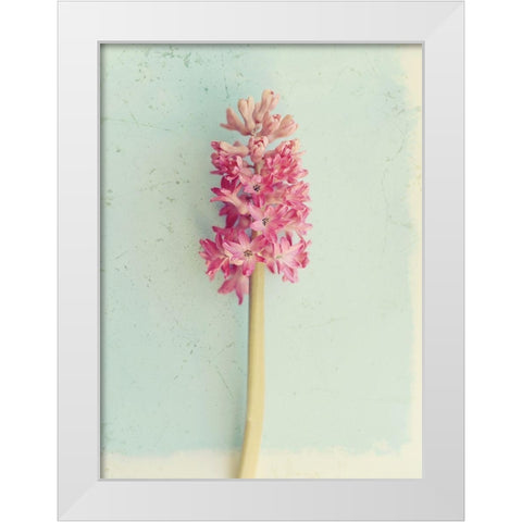 Soft Pink Hyacinth White Modern Wood Framed Art Print by Gardner, Sarah