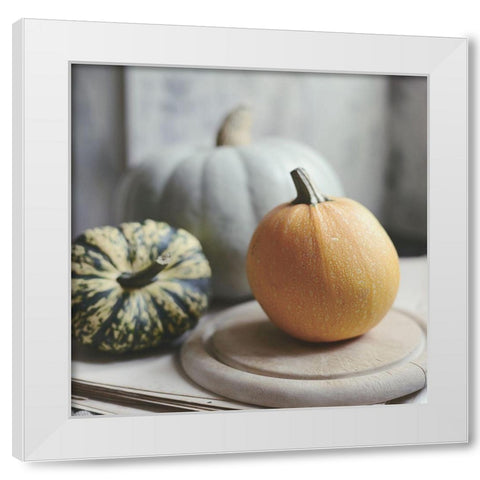 Time For Fall White Modern Wood Framed Art Print by Gardner, Sarah