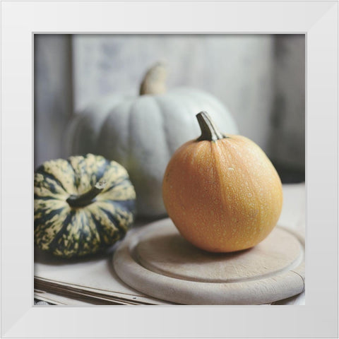 Time For Fall White Modern Wood Framed Art Print by Gardner, Sarah