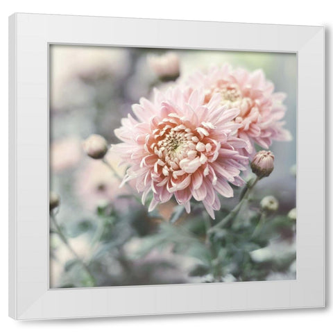 Muted Daisy White Modern Wood Framed Art Print by Gardner, Sarah