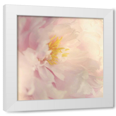 Bloom White Modern Wood Framed Art Print by Gardner, Sarah