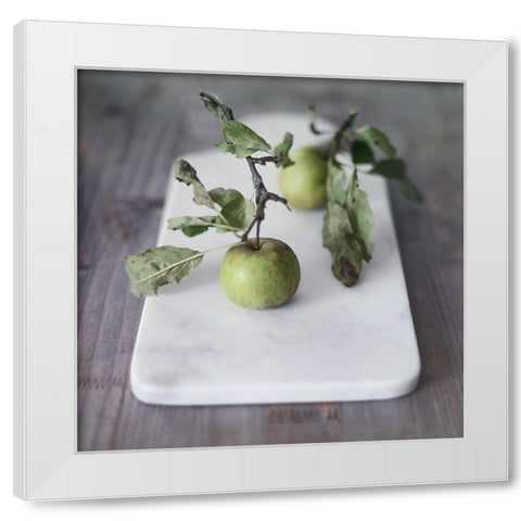 Growth Begins White Modern Wood Framed Art Print by Gardner, Sarah