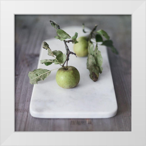 Growth Begins White Modern Wood Framed Art Print by Gardner, Sarah