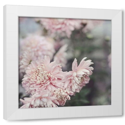 Evening Blooms White Modern Wood Framed Art Print by Gardner, Sarah