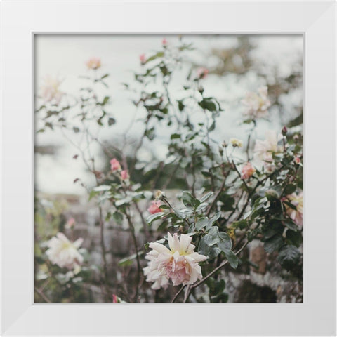 Spring Views White Modern Wood Framed Art Print by Gardner, Sarah