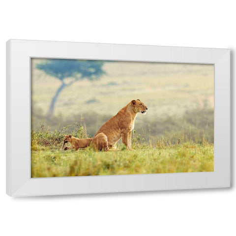 A Lions Tail White Modern Wood Framed Art Print by Lake, Shelley