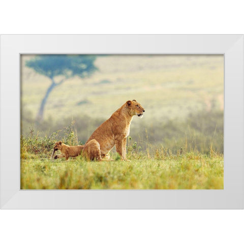 A Lions Tail White Modern Wood Framed Art Print by Lake, Shelley