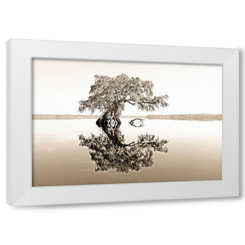 Reflective View White Modern Wood Framed Art Print by Nawrocke, Bruce