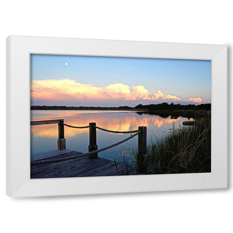 Lake Saunders I White Modern Wood Framed Art Print by Nawrocke, Bruce
