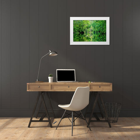 Serenity White Modern Wood Framed Art Print by Nawrocke, Bruce