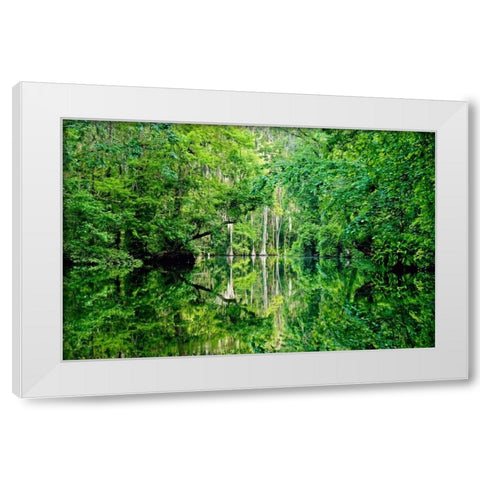 Serenity White Modern Wood Framed Art Print by Nawrocke, Bruce