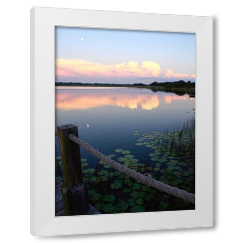 Lake Saunders II White Modern Wood Framed Art Print by Nawrocke, Bruce