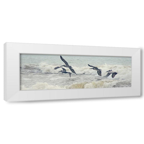 Pelican Panel I White Modern Wood Framed Art Print by Nawrocke, Bruce
