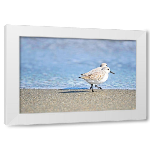 Walk Along The Coast White Modern Wood Framed Art Print by Nawrocke, Bruce