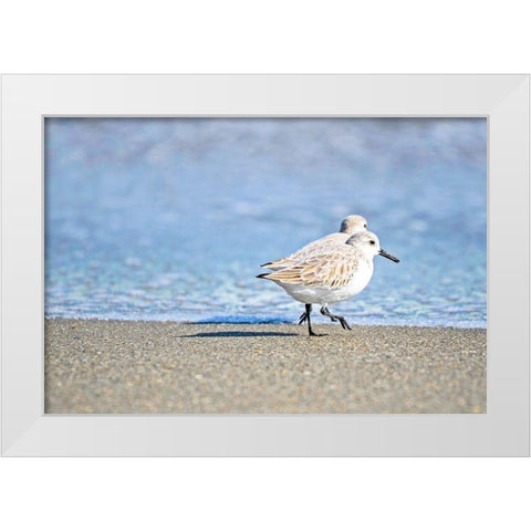 Walk Along The Coast White Modern Wood Framed Art Print by Nawrocke, Bruce