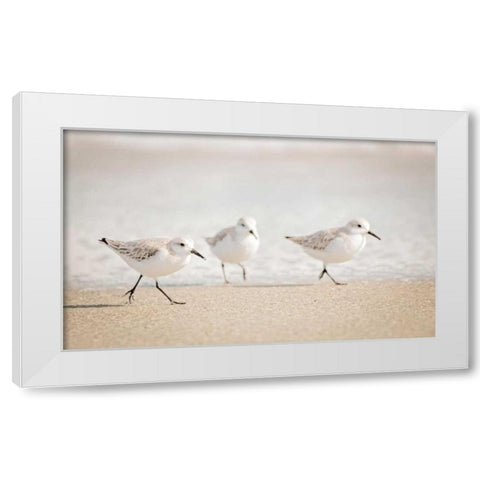 Stroll On White Modern Wood Framed Art Print by Nawrocke, Bruce