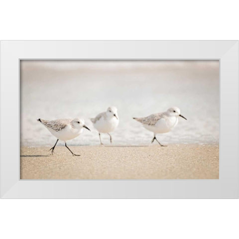 Stroll On White Modern Wood Framed Art Print by Nawrocke, Bruce