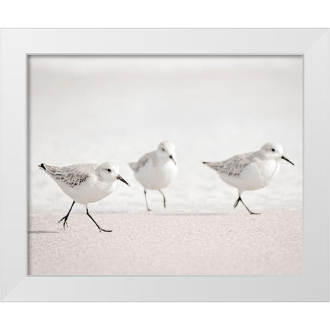 Side by Side White Modern Wood Framed Art Print by Nawrocke, Bruce