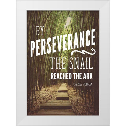 Perseverance White Modern Wood Framed Art Print by Nawrocke, Bruce