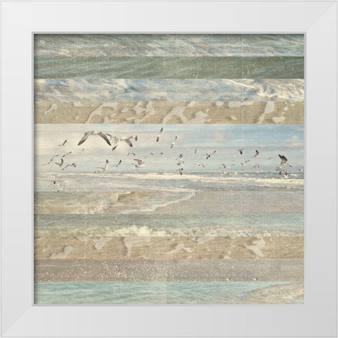 Flying Beach Birds I White Modern Wood Framed Art Print by Meneely, Dan