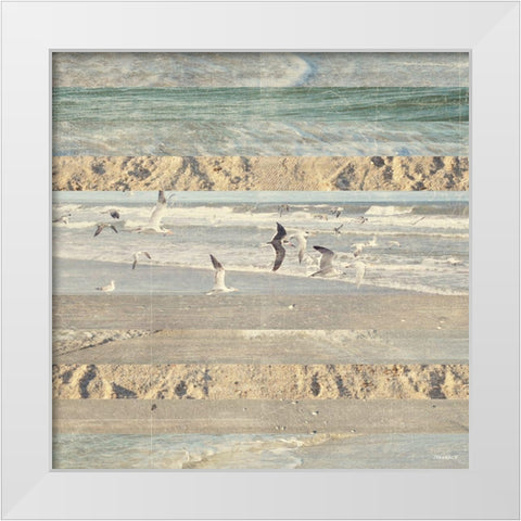 Flying Beach Birds II White Modern Wood Framed Art Print by Meneely, Dan