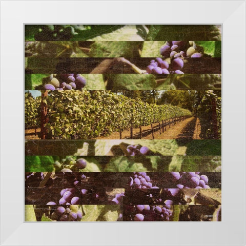 Vinecraft Horizons II White Modern Wood Framed Art Print by Meneely, Dan
