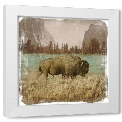 Bison in the Park White Modern Wood Framed Art Print by Meneely, Dan