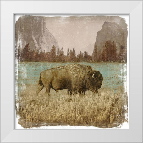 Bison in the Park White Modern Wood Framed Art Print by Meneely, Dan