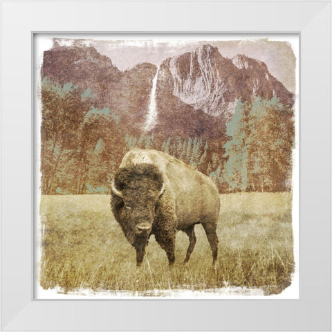Bison Falls White Modern Wood Framed Art Print by Meneely, Dan