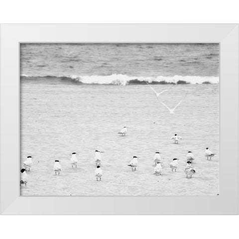 The Coastline Flock White Modern Wood Framed Art Print by Bill Carson Photography