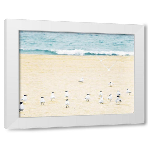 Relaxed Seagulls White Modern Wood Framed Art Print by Bill Carson Photography
