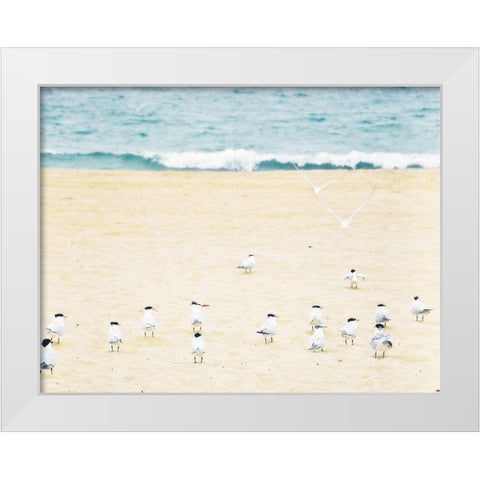 Relaxed Seagulls White Modern Wood Framed Art Print by Bill Carson Photography