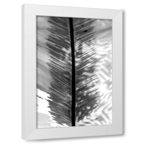 BW Leaf White Modern Wood Framed Art Print by Bill Carson Photography