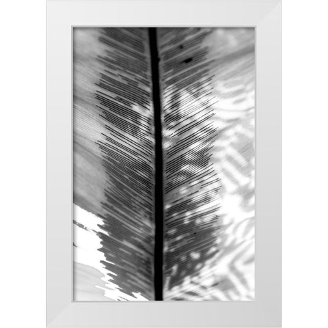 BW Leaf White Modern Wood Framed Art Print by Bill Carson Photography