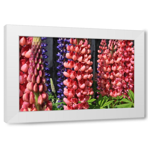 Joyful Flowers White Modern Wood Framed Art Print by Coppel, Anna