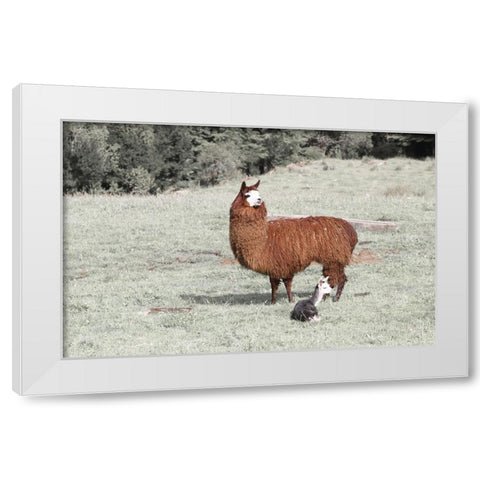 Llama Mama White Modern Wood Framed Art Print by Coppel, Anna
