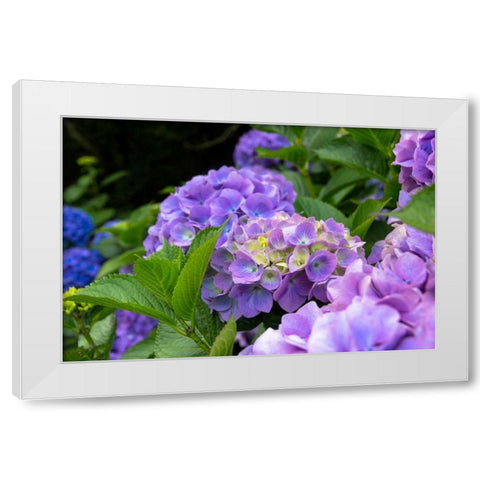 My Garden Blooms White Modern Wood Framed Art Print by Bonnett, Stede