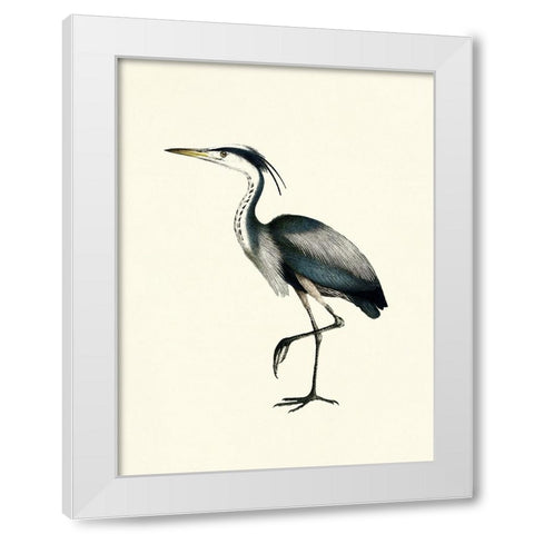 Bird I on Cream White Modern Wood Framed Art Print by Piddix
