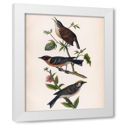 Bird Branch White Modern Wood Framed Art Print by Piddix
