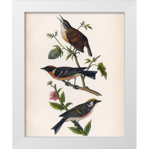 Bird Branch White Modern Wood Framed Art Print by Piddix