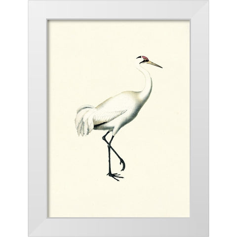 Bird III on Cream White Modern Wood Framed Art Print by Piddix