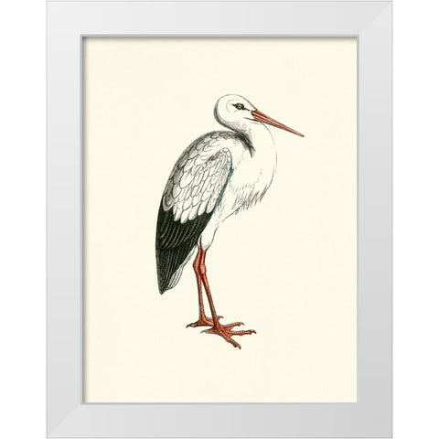 Bird II on Cream White Modern Wood Framed Art Print by Piddix