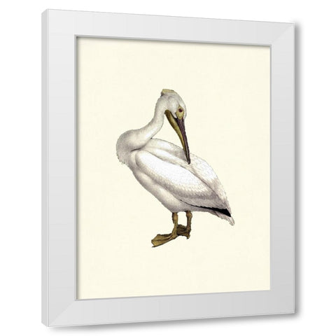 Bird IV on Cream White Modern Wood Framed Art Print by Piddix