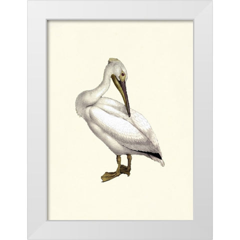 Bird IV on Cream White Modern Wood Framed Art Print by Piddix