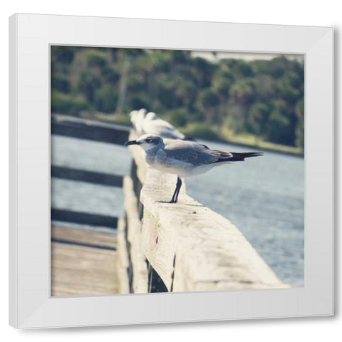 Look Out Dock I White Modern Wood Framed Art Print by Peck, Gail